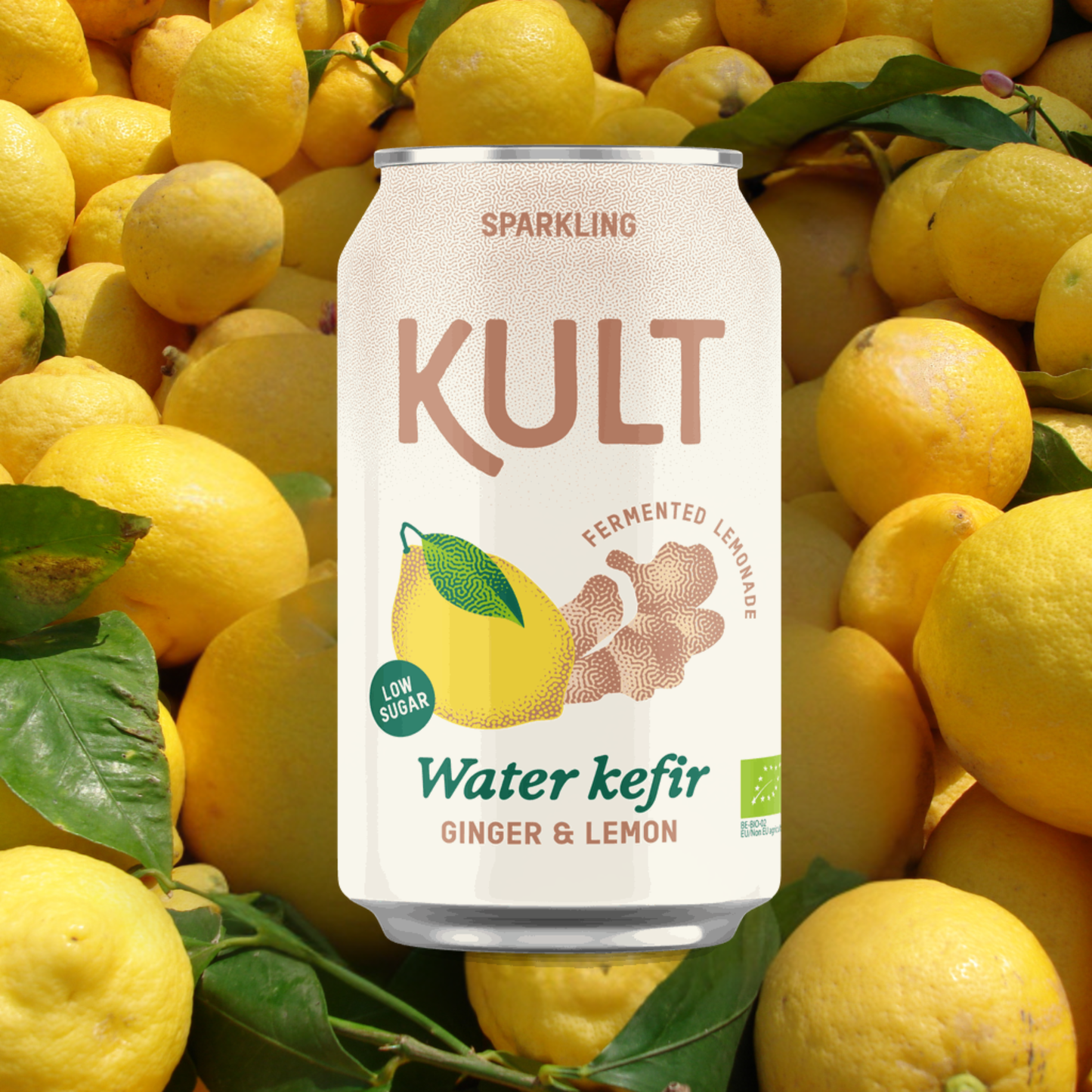 Kult Winter Kombo - 33 cl x 12  tk